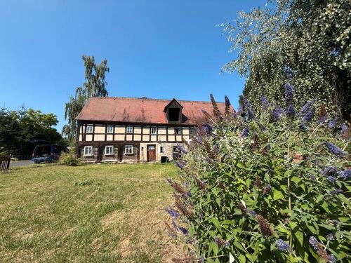 Foto - Schönes Baugrundstück mit Altbestand in Hörnitz