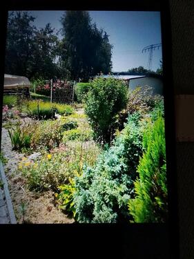 Foto - Gartengrundstück Cainsdorf Nähe Turnerheim