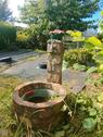 Foto - Kleingarten Schrebergarten Gartenhaus Teich Ribnitz Damgarten Ost