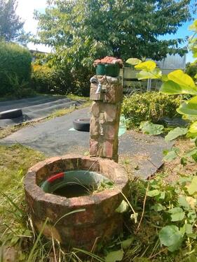 Foto - Kleingarten Schrebergarten Gartenhaus Teich Ribnitz Damgarten Ost
