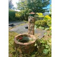 Kleingarten Schrebergarten Gartenhaus Teich Ribnitz Damgarten Ost - Papendorf