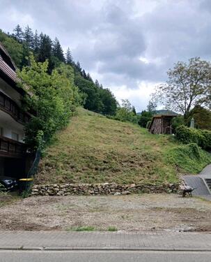 Foto - Parkplätze Stellplätze zu vermieten, Münstertal, Wohnmobil