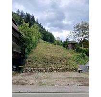 Parkplätze Stellplätze zu vermieten, Münstertal, Wohnmobil - Münstertal/Schwarzwald