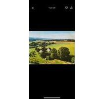 Anwesen in Alleinlage mit großem Grundstück” - Konradsreuth