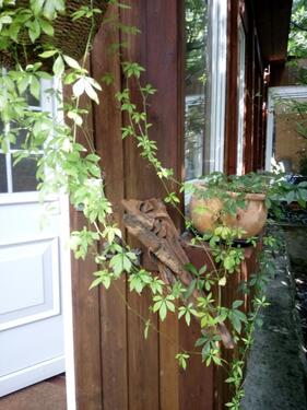 Foto - 2 Zimmer Einfamilienhaus in Moritzburg