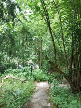 Foto - Einfamilienhaus in Moritzburg zur Miete