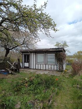 Foto - Kleingarten mit viel Potenzial in ruhiger Lage zu verpachten