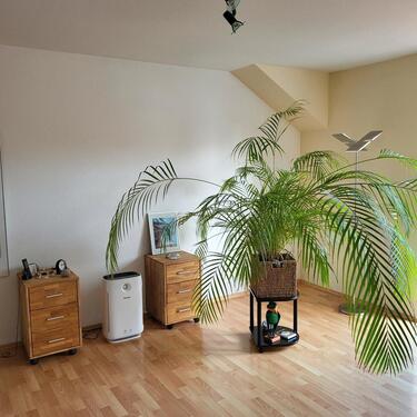 Foto - 3 Zimmer Etagenwohnung in Braunschweig