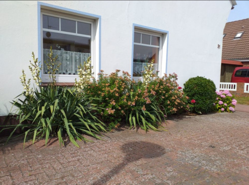 Foto - andere zur Miete in Borkum