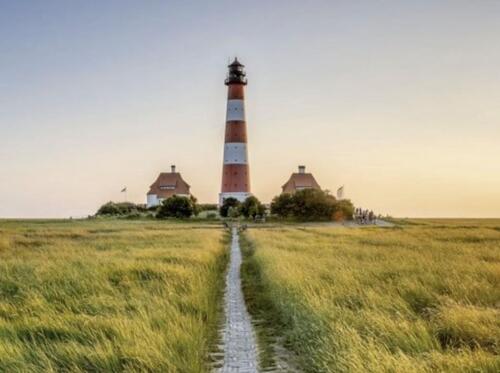 Foto - Nordsee Urlaub m. Hunden bei St. Peter-Ording 14.6.-24.6.26