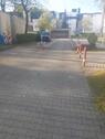Foto - andere in München zur Miete