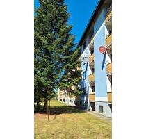 Gemütliche 2,5-Zimmer-Wohnung mit neuer Küche & West-Balko - Gifhorn