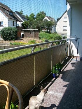 Foto - 2 Zimmer Etagenwohnung zur Miete in Hilchenbach