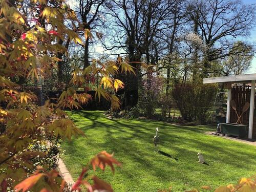 Foto - Doppelhaushälfte in Bad Rothenfelde zum Kaufen