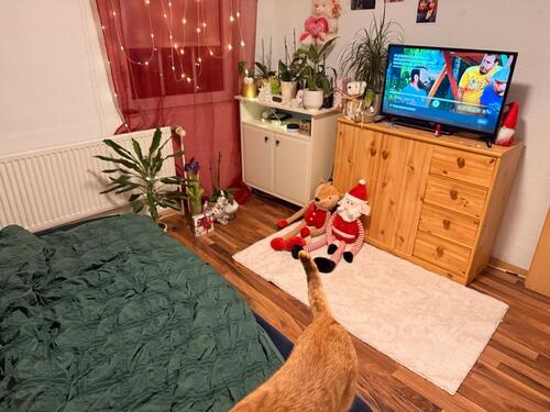 Foto - Etagenwohnung in Großheide zur Miete