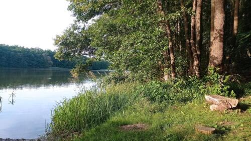 Foto - andere in Crivitz zur Miete