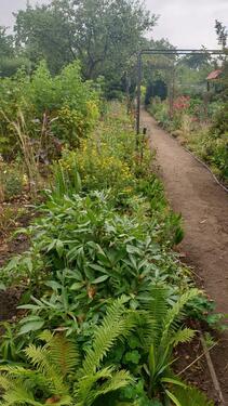 Foto - Grundst&uuml;ck zur Miete in Teterow