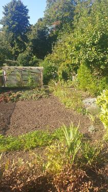 Foto - Grundst&uuml;ck in Teterow