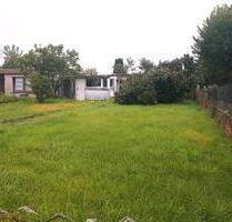 Garten Eigentumsland Glaubitz Nähe Waldbad - Dresden Klotzsche