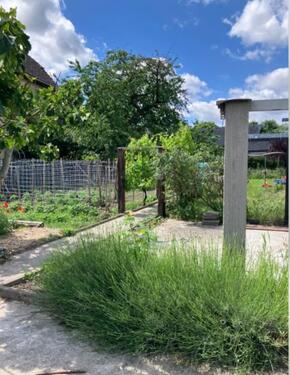 Foto - Gemüsegarten in Krefeld Fischeln, Oberbruchstr., ca. 75 qm