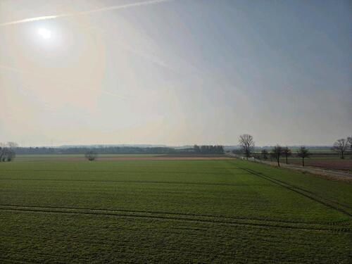 Foto - 4 Zimmer Einfamilienhaus zum Kaufen in Söhlde