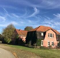 idyllisches Landhaus im Wendland. Ruhe, Natur & viel Platz - Clenze