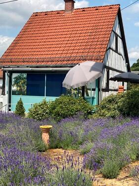 Foto - MöbliertHausWohnungFerienMonteur, Nähe KönigsteinTaunus