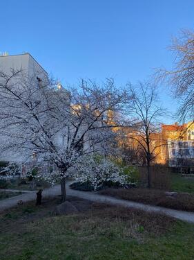 Foto - 1 Zimmer Etagenwohnung in Berlin