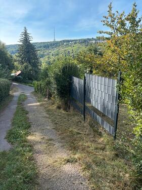 Foto - Garten zu verpachten in Stuttgart -befristet bis April 150€Monat
