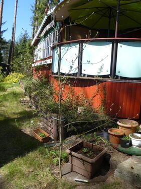 Foto - Einfamilienhaus in Melbeck zum Kaufen