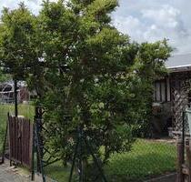 Dieser Garten in Neusalza-Spremberg wartet auf Dich!