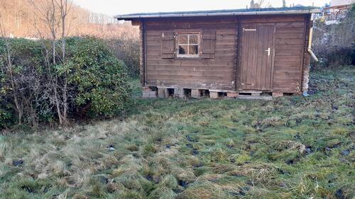 Foto - Grundstück in Lichtenstein (Sachsen)