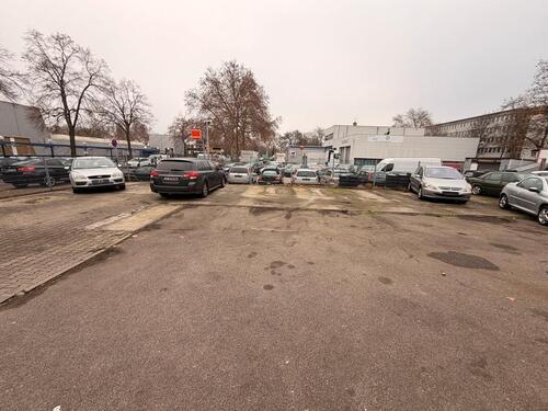 Foto - andere in Mannheim