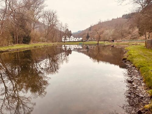Foto - Wohnung + Jobchance im Baybachtal