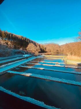 Foto - 4 Zimmer Etagenwohnung in Dieblich