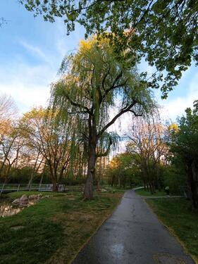 Foto - Erdgeschoßwohnung in Elmstein zur Miete