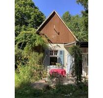 Naturnahes Grundstück mit freistehendem kleinen Haus - Doberlug-Kirchhain