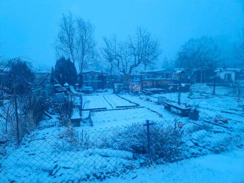 Foto - Grundst&uuml;ck zur Miete in Spremberg