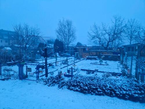 Foto - Grundst&uuml;ck in Spremberg