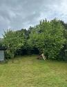 Foto - 3-Zimmer Wohnung mit eigenem Garten in Köln-Ostheim