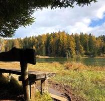 Zwischen Nonstal und Südtirol wo Natur und Erholung zuhause sind - Stuttgart Vaihingen