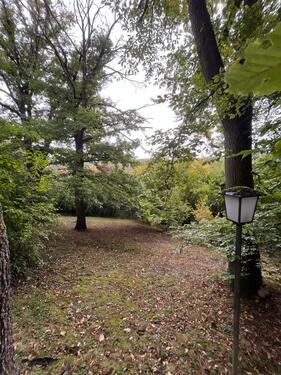 Foto - Einfamilienhaus zum Kaufen in Idstein