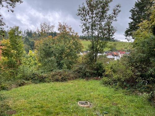 Foto - Einfamilienhaus in Idstein