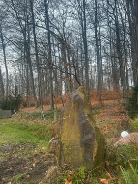 Foto - 4 Zimmer Etagenwohnung in Lage