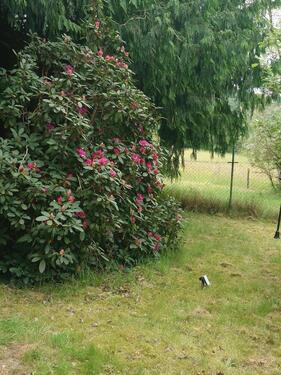 Foto - Grundst&uuml;ck in Losheim am See