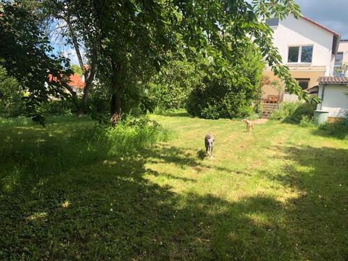 Foto - 2 Zimmer Etagenwohnung zur Miete in Göttingen