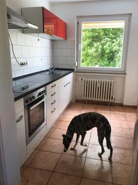 Foto - Etagenwohnung in Göttingen zur Miete