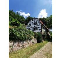 Historisches Forsthaus Odenwald Alleinlage Bauernhaus Ferienhaus - Oberzent