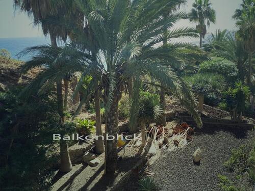 Foto - Apartment im Süden Teneriffas-Costa del Silencio- direkt am Meer.