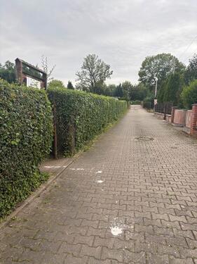 Foto - Grundst&uuml;ck in Magdeburg